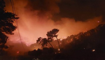 Muğla’yı orman yangınları esir aldı