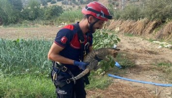 Tire'de su kuyusuna düşen kediye itfaiyeden yardım eli