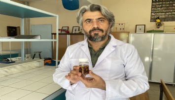 Türkiye'de yeni bir akrep türü keşfedildi: Prof. Dr. Ersen Aydın eşine ithaf ederek Euscorpius gulhanimae adını verdi
