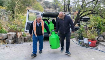 Bornova’da zeytin üreticilerine lojistik destek