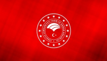 Çiftçilere 2024 Kasım müjdesi! Devasa tarımsal ödemeler başladı