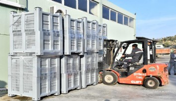 İzmir'in zeytinleri kasada toplanacak : Kalite kaybının önüne geçilecek
