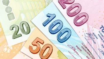 SED Kasım 2024 ödemesi! Hesaplara trink yatacak