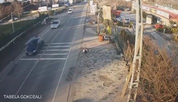 Çatalca’da bir işletmeden kaçan deve kuşları ortalığı birbirine kattı