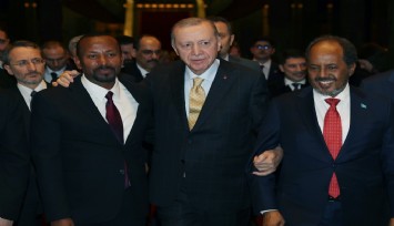 Cumhurbaşkanı Erdoğan devreye girdi, Afrika krizi çözüldü