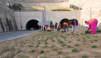 İzmir'de kuraklığa karşı mücadale: 9 dönümlük arazide ekimler başladı