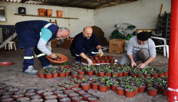Karşıyaka’nın serasında çiçekler açıyor