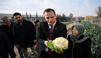 Kent Bostanı, kadınların elinde yeşerdi