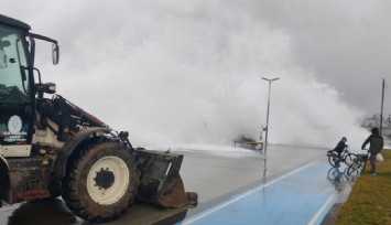 Rize'de kılpayı kurtuluş