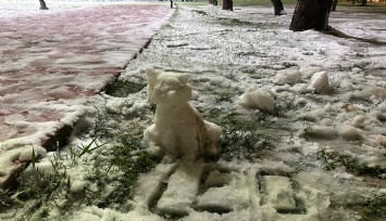 Uşak'ta kar nedeniyle okullar 1 gün tatil edildi