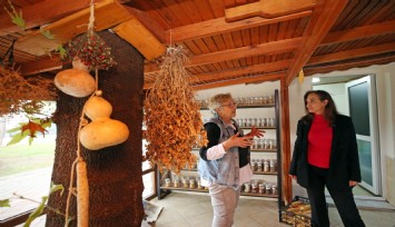 Yaklaşık 500 bin paket tohum vatandaşa ulaştırıldı