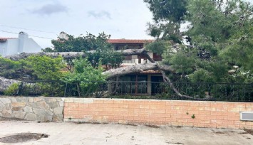 Çeşme'de ağaç evin üzerine devrildi