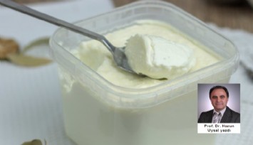 Kara üzüm suyu ile probiyotik keçi yoğurdu