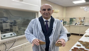 Kedi köpek maması ihracatında 5 yıl sonraki hedef 500 milyon dolar