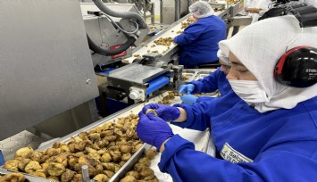 Türk organik sektörünün yeni ihracat hedefi 2 milyar dolar