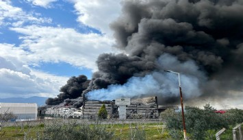 Kemalpaşa'da korkutan yangın