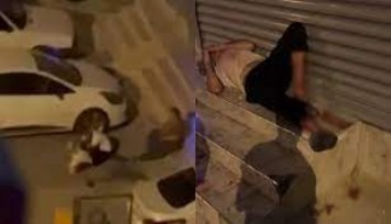 Adana’da pitbull dehşeti: Sahibini ve 2 kişiyi yaraladı
