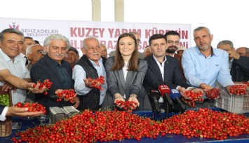ilk kirazının hasat edildiği Manisa'da üretici umutlu