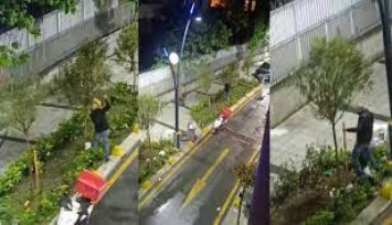 İstanbul’da bir şahıs tahtaları söküp saldırdığı ağaçla kavga etti: O anlar kamerada