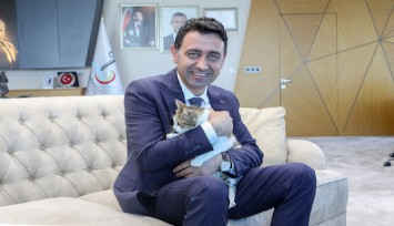 Başkan Önal, yaralı kediye sahip çıktı ‘sahiplenme’ çağrısı yaptı