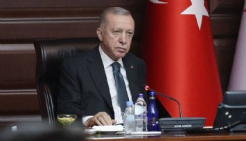 Erdoğan'dan milletvekillerine 'ıstakoz' ve 'Rolex' tepkisi: Bunlar bilinemeyecek, akıl edilemeyecek şeyler değil