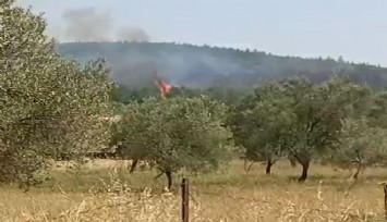 Bergama'da korkutan orman yangını: Ekiplerin müdehalesi devam ediyor