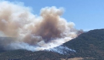 Urla'da korkutan yangın kontrol altına alındı: 8 uçak 6 helikoterle müdahale edildi