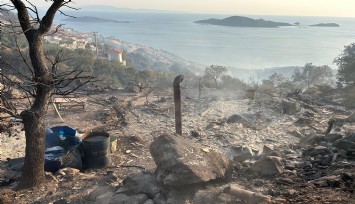 İzmir'deki yangında bir bağ evi kül oldu