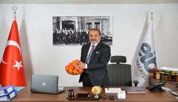 Yaş meyve sebze ve meyve sebze mamulleri 6 milyar ihracat hedefine emin adımlarla ilerliyor