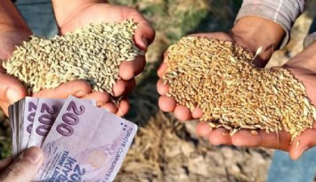 Bakanlıktan çiftçilere, arpa, buğday ve gübre desteği!