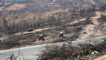 İzmir’de yanan ormanlık alana 1 milyon 100 bin fidan dikilecek