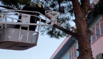 Manisa sevgi operasyonu