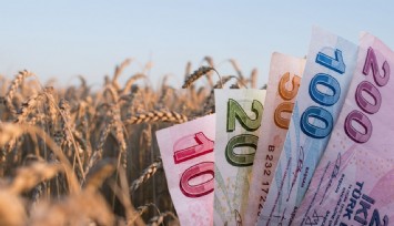 Tarımsal destekte ekim öncesi yeni ödeme!