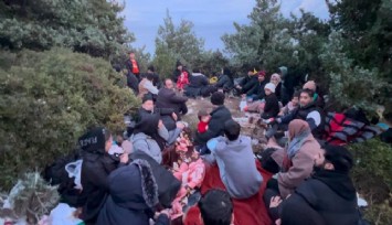 Foça'da hem karada hem denizde göçmen hareketliliği
