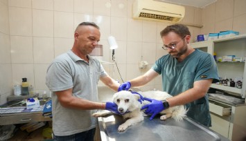 Gaziemir Belediyesi’nden 6 bin 222 can dosta şefkat eli