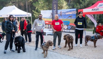 Köpekli Labirent Oryantiring: Türkiye’de bir ilk yaşanıyor