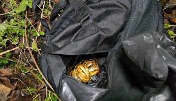 Safranbolu’daki kuyumcu soygununda çalınan altınlar ele geçirildi, zanlılar her yerde aranıyor