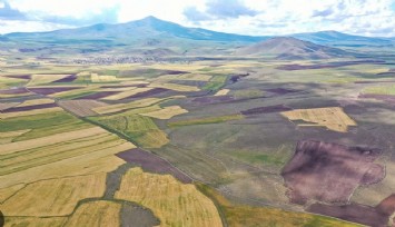 Bergama’da hazineye ait 2 tarla satışa çıkıyor