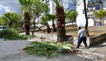 Çiğli’de sonbahar bakımı: Ağaçlar budanıyor, kent güzelleşiyor