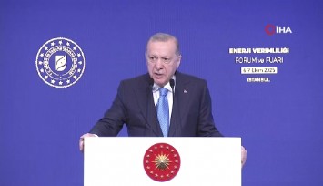 Cumhurbaşkanı Erdoğan'dan doğal gaz açıklaması: Gazoz almaya benzemez