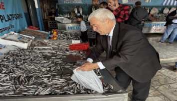 Denizlerde balık bolluğu: Hamsinin fiyatı 89 liraya düştü