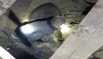 Depremde enkaz altında kalan eşek canlı olarak kurtarıldı