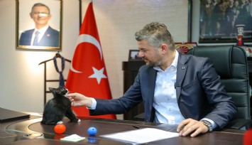 Hayvanları Koruma Günü’nde Başkan Duman’dan çağrı