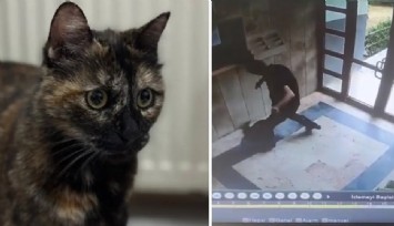 Cezve'nin failine üst sınırdan hapis cezası