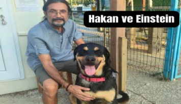Otobüse binen köpek, bir kere gördüğü dostunu unutmadı