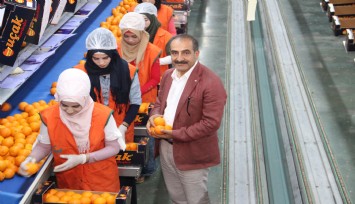 Mandalinada ihracat hedefi 500 milyon dolar