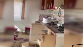 Rize’de yayladaki evlere giren ayı evleri talan etti