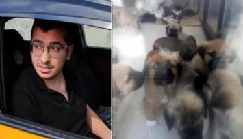 Ankara'da hayvan istismarına hapis cezası