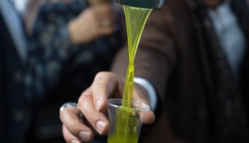 Türkiye'de satılan zeytinyağının yüzde 65'i ‘Ayvalık zeytinyağı' adıyla piyasada