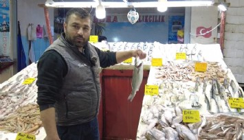 Foça Balık Hali’nde kış bereketi: Sardalya ve uskumru tezgahların gözdesi